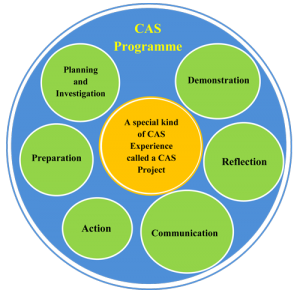 CAS Programme logo 1