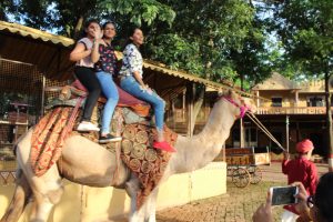 Trip to Indore 7