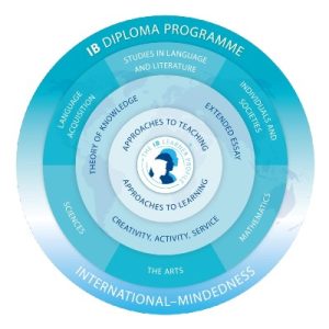 curricullum logo
